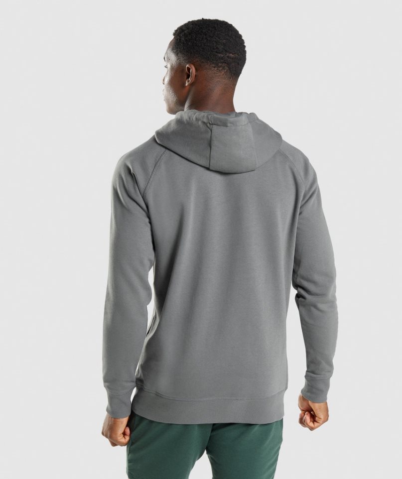 Gymshark Sharkhead Infill Hoodie Herren Grau | 82610CLOD