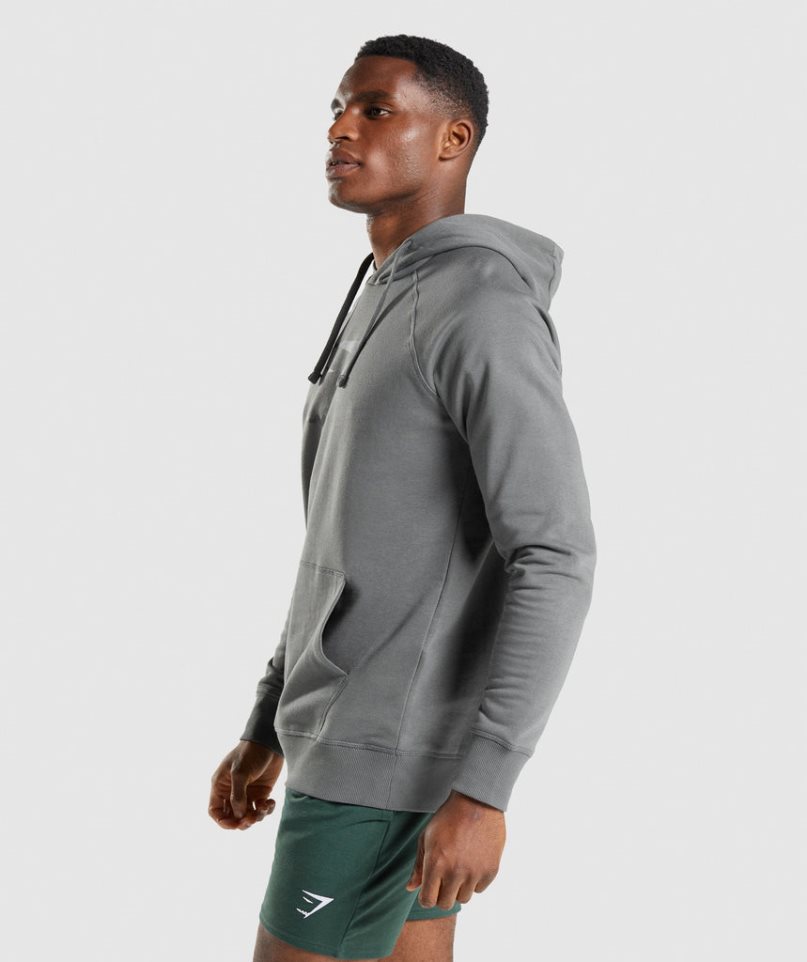 Gymshark Sharkhead Infill Hoodie Herren Grau | 82610CLOD