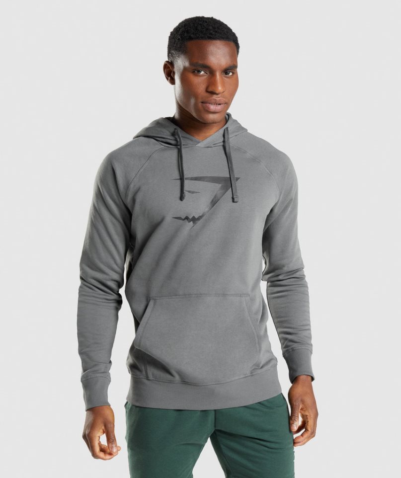 Gymshark Sharkhead Infill Hoodie Herren Grau | 82610CLOD