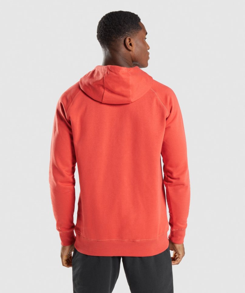 Gymshark Sharkhead Infill Hoodie Herren Orange | 89154FEYI