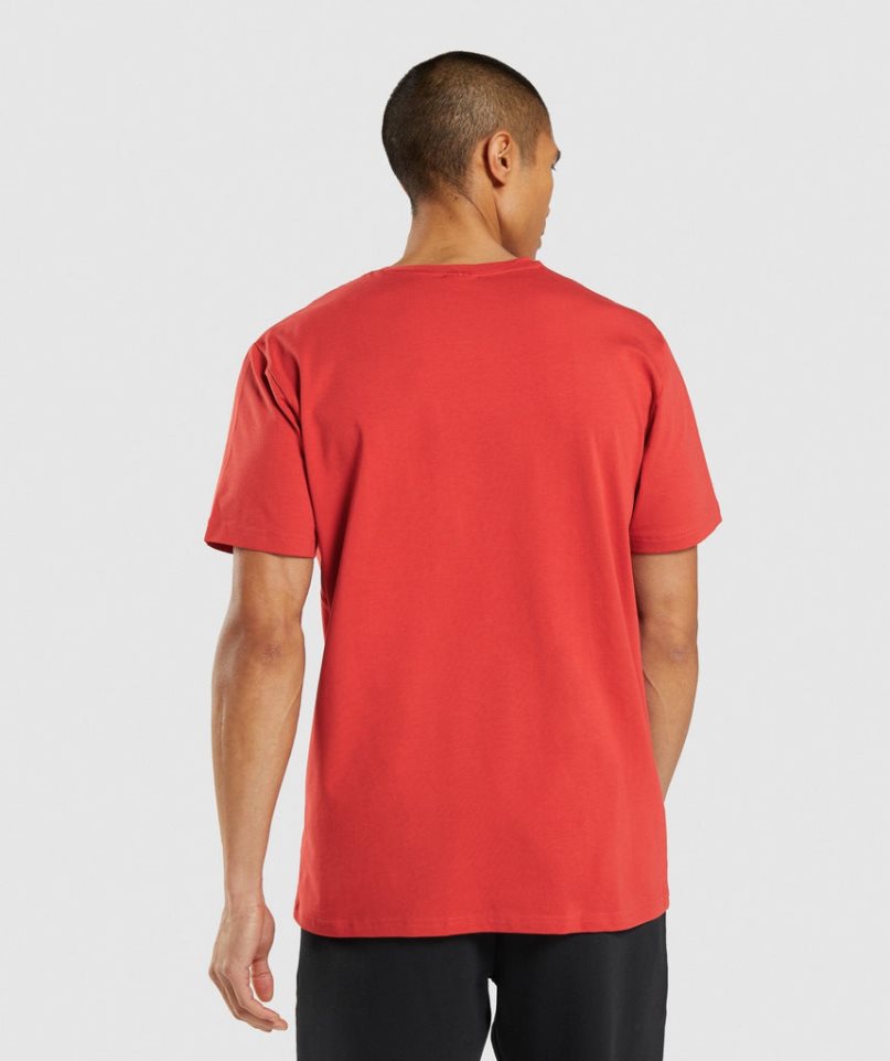 Gymshark Sharkhead Infill T-shirts Herren Rot | 03496TESM