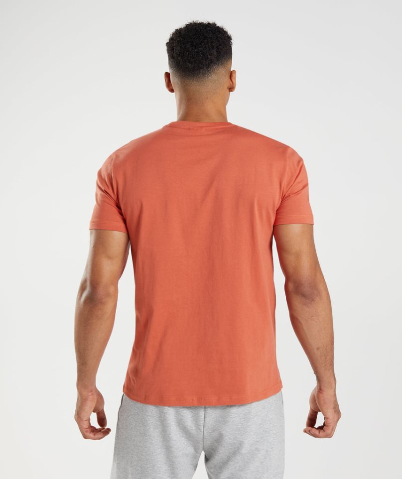 Gymshark Sharkhead Infill T-shirts Herren Orange | 29543ZBSA