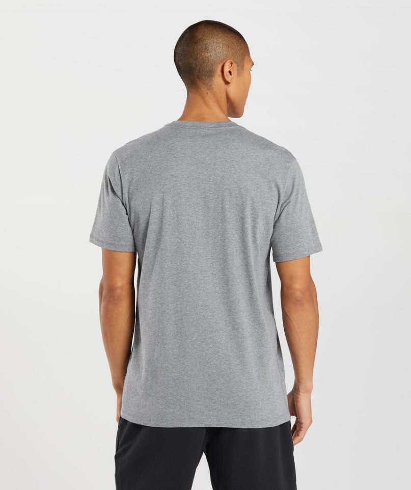 Gymshark Sharkhead Infill T-shirts Herren Grau | 65749ANUX