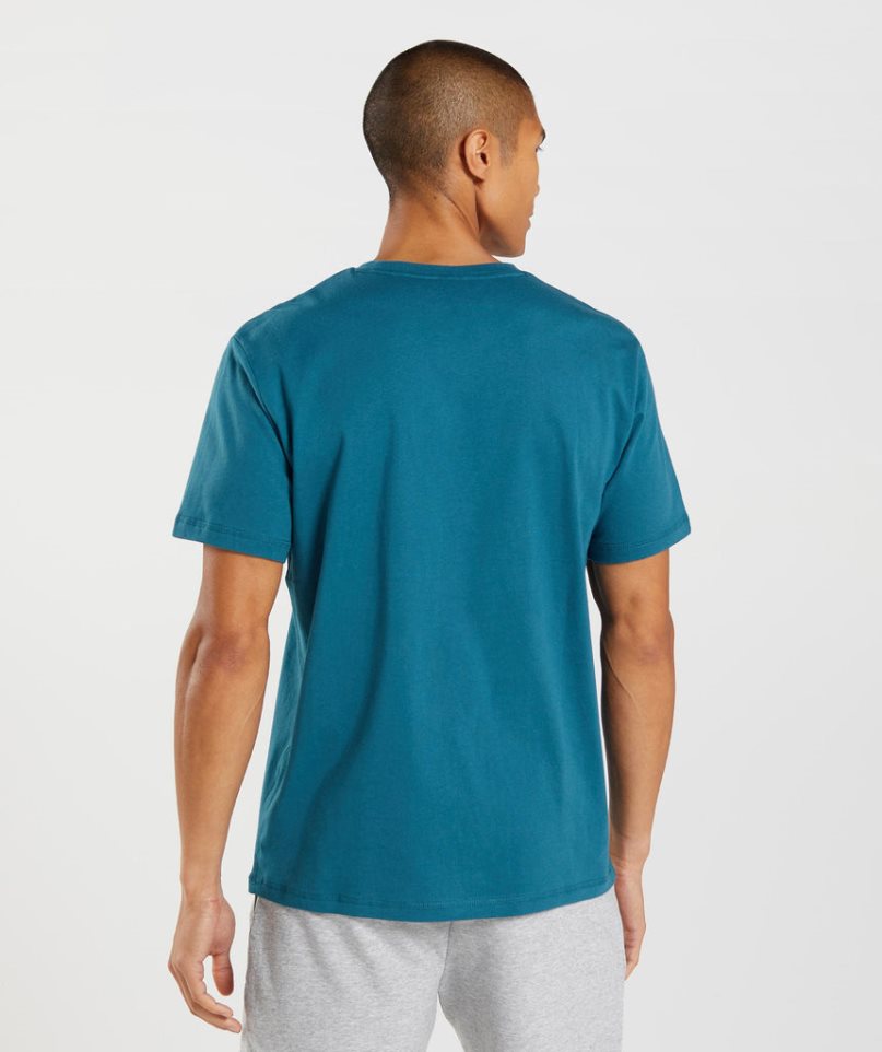 Gymshark Sharkhead Infill T-shirts Herren Türkis | 70128DOVB