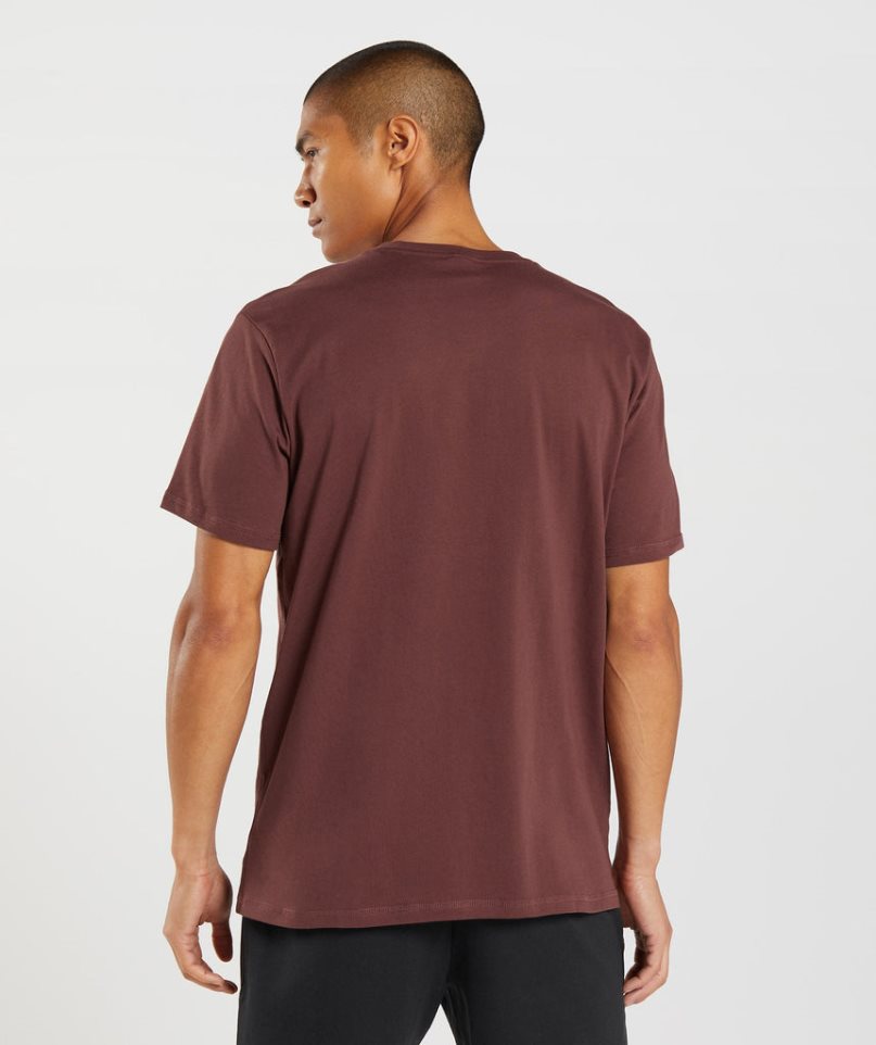 Gymshark Sharkhead Infill T-shirts Herren Braun | 74295XJPB