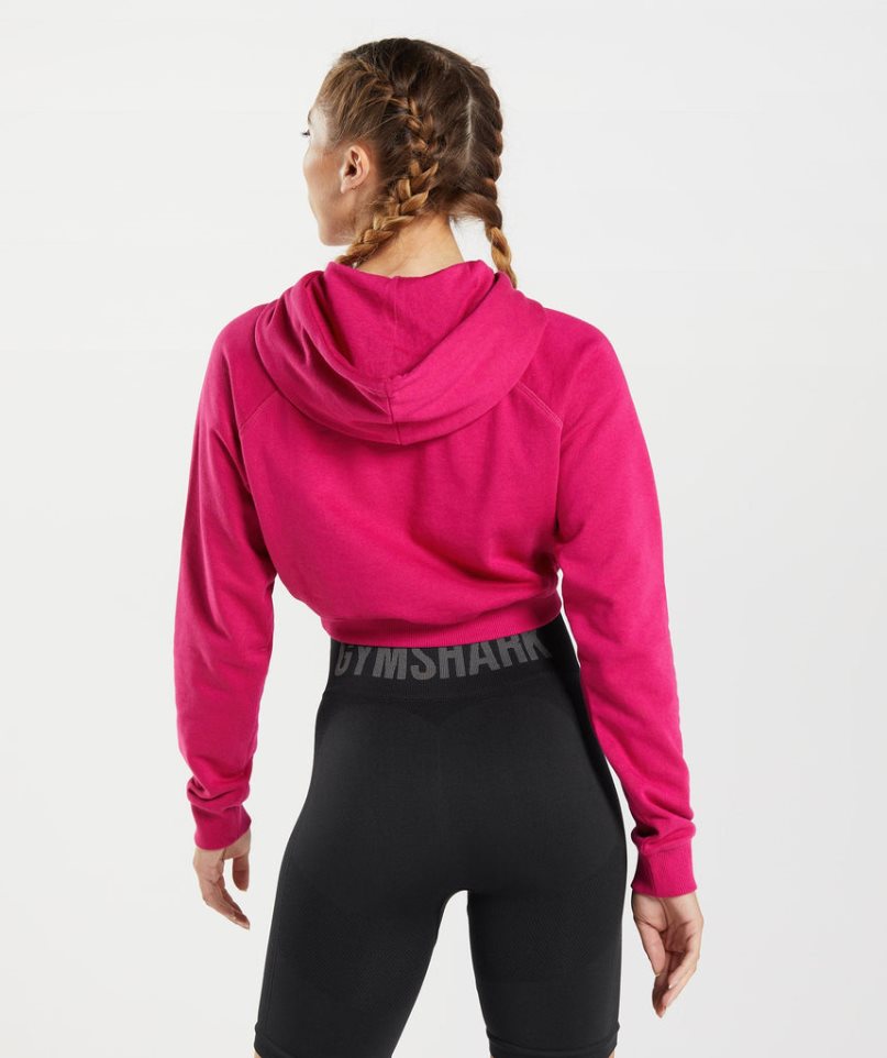 Gymshark Sport Cropped Hoodie Damen Fuchsie | 39271PVNW