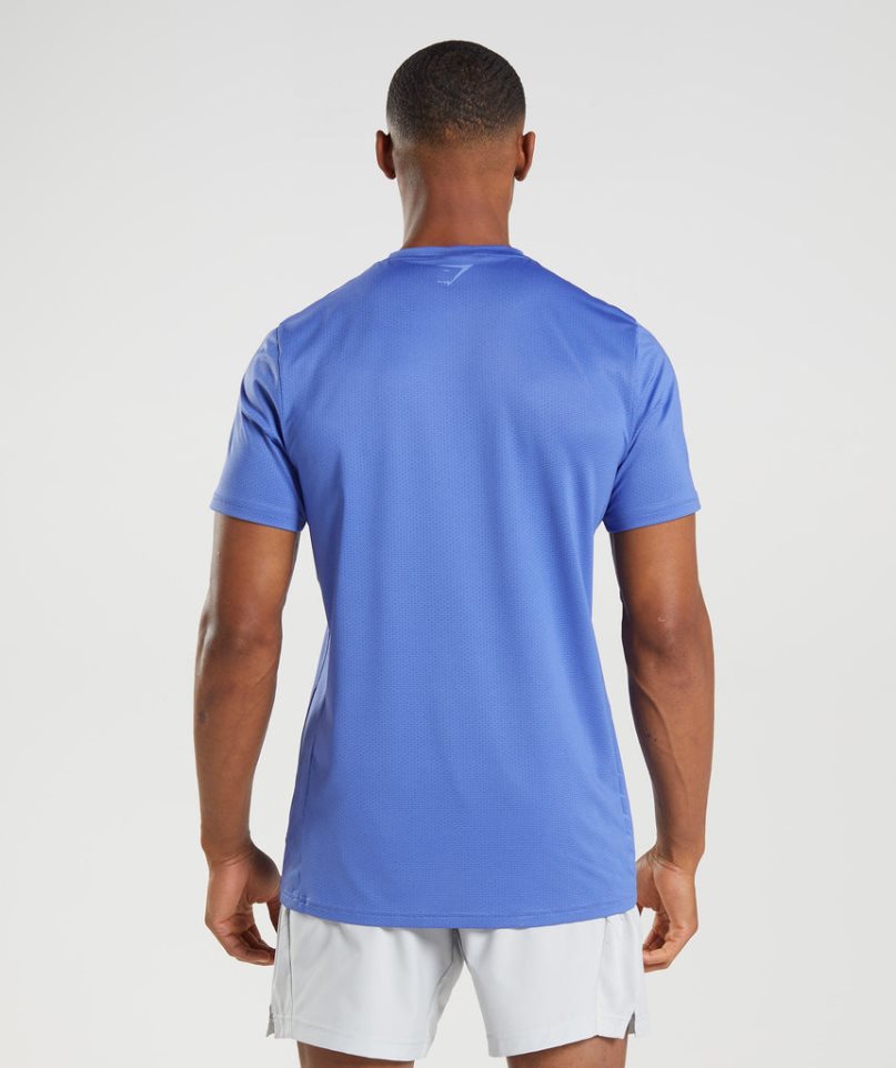 Gymshark Sport Stripe T-shirts Herren Blau | 70631HOYN