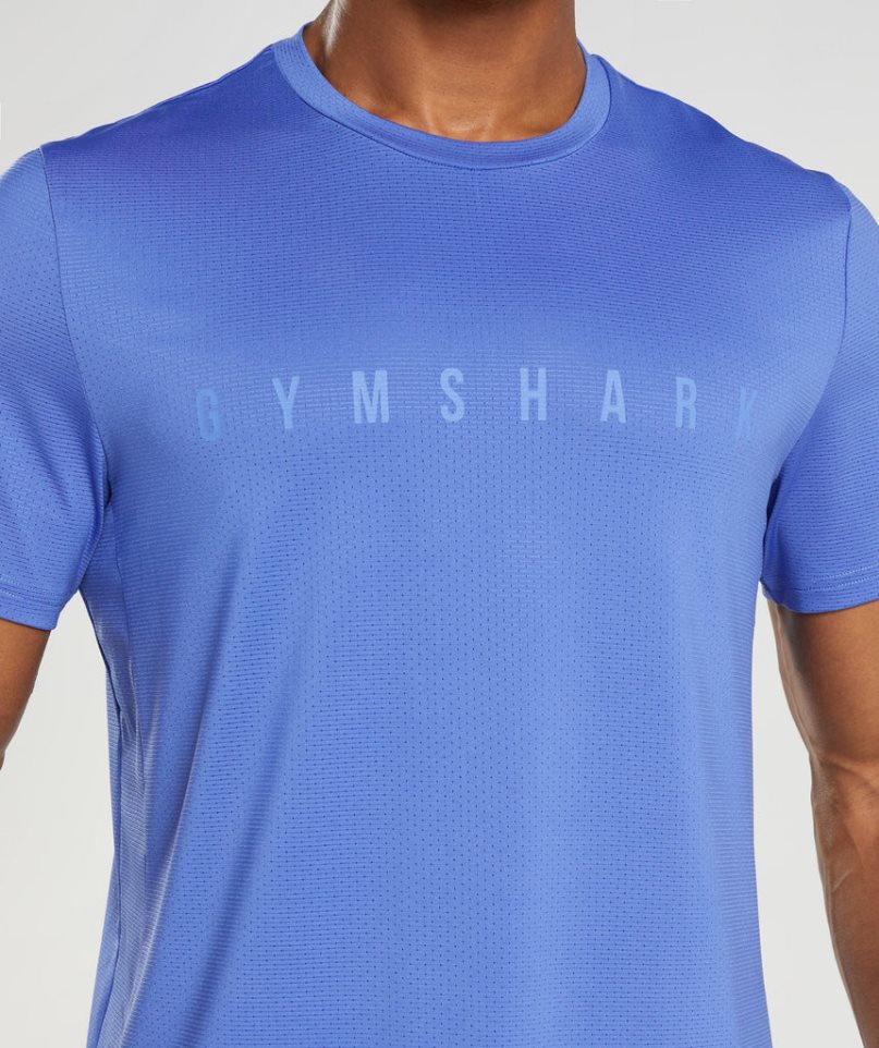 Gymshark Sport Stripe T-shirts Herren Blau | 70631HOYN