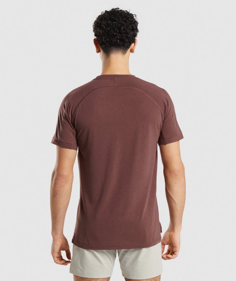 Gymshark Studio Amplify T-shirts Herren Braun | 61035IZRH