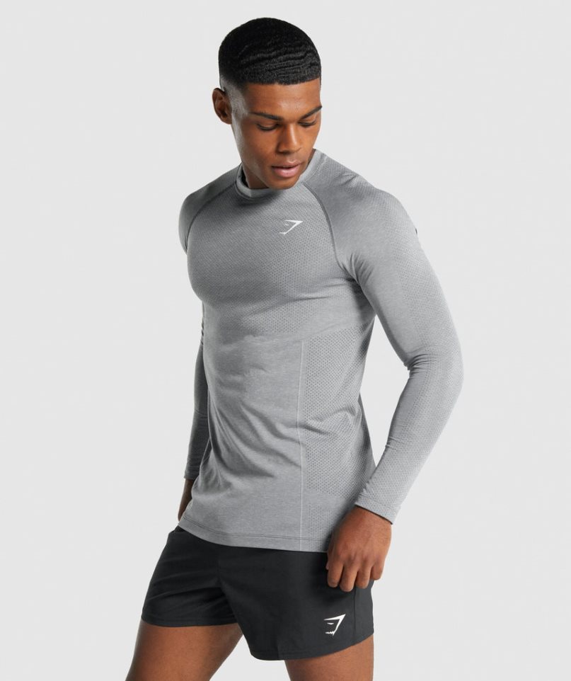 Gymshark Vital Light Seamless Long Sleeve T-shirts Herren Grau | 82641FPEM