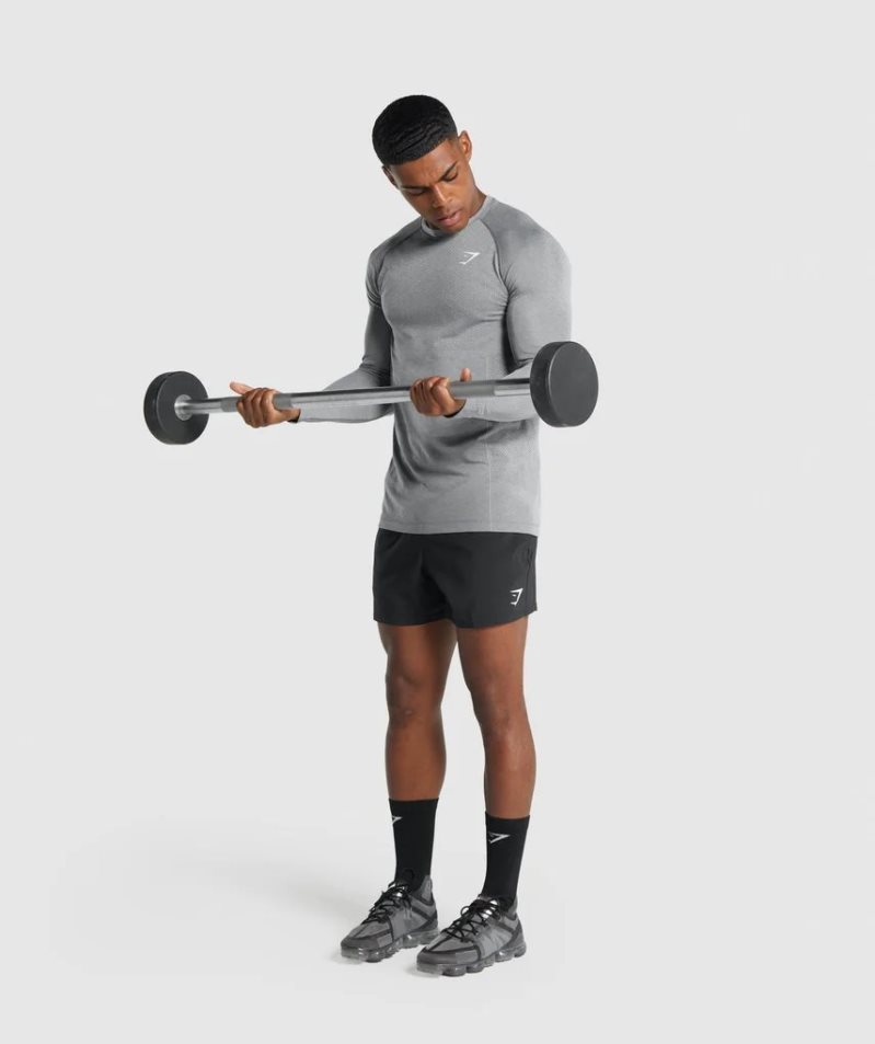 Gymshark Vital Light Seamless Long Sleeve T-shirts Herren Grau | 82641FPEM