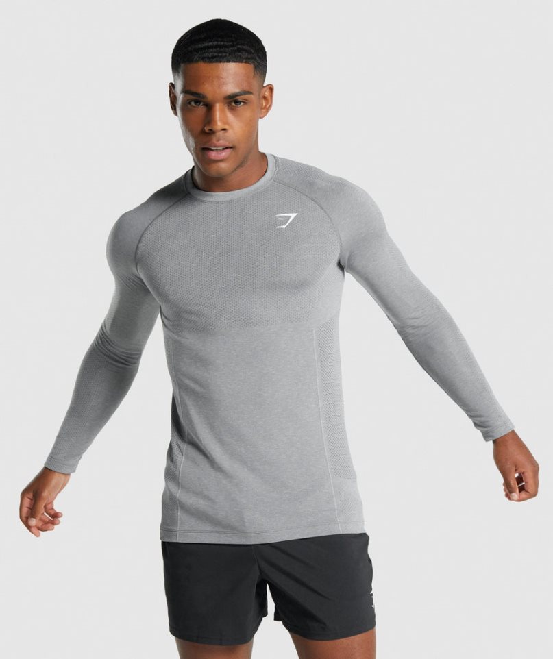 Gymshark Vital Light Seamless Long Sleeve T-shirts Herren Grau | 82641FPEM