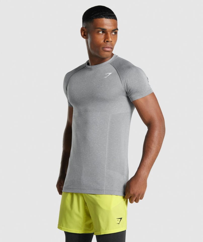 Gymshark Vital Light Seamless T-shirts Herren Grau | 07628TSCW