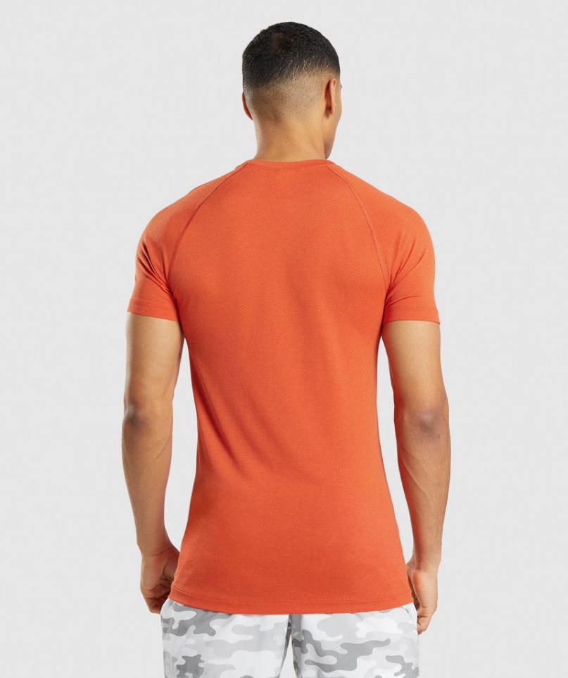 Gymshark Vital Light Seamless T-shirts Herren Orange | 18967QPXF