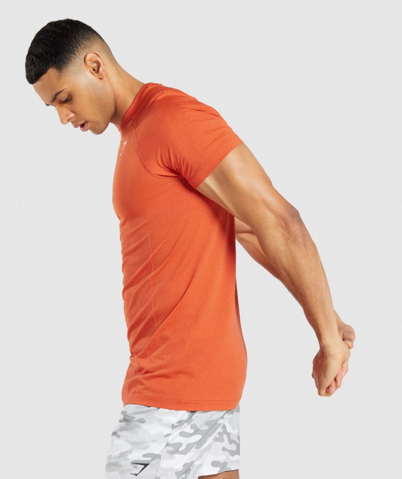 Gymshark Vital Light Seamless T-shirts Herren Orange | 18967QPXF