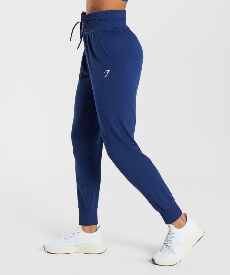 Gymshark Vital Seamless 2.0 Jogginghose Damen Blau | 87951MLUY