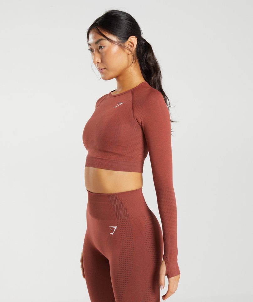 Gymshark Vital Seamless 2.0 Kurz Geschnittene Oberteile Damen Braun | 23495YTXW