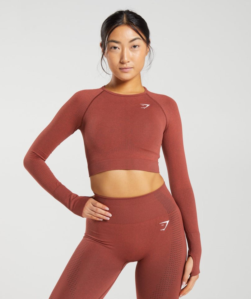 Gymshark Vital Seamless 2.0 Kurz Geschnittene Oberteile Damen Braun | 23495YTXW