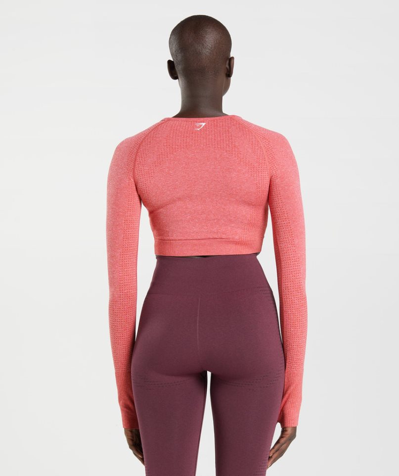 Gymshark Vital Seamless 2.0 Kurz Geschnittene Oberteile Damen Rosa | 24381CALS