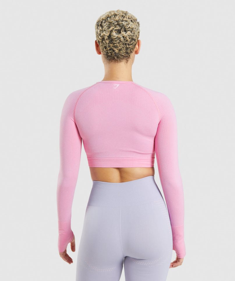 Gymshark Vital Seamless 2.0 Kurz Geschnittene Oberteile Damen Rosa | 38927IJBF