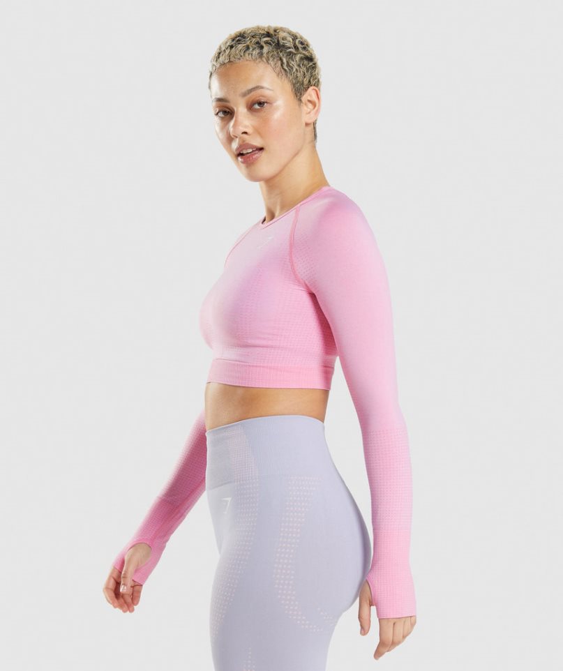 Gymshark Vital Seamless 2.0 Kurz Geschnittene Oberteile Damen Rosa | 38927IJBF