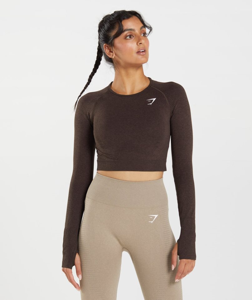 Gymshark Vital Seamless 2.0 Kurz Geschnittene Oberteile Damen Schokolade | 60182ONEC