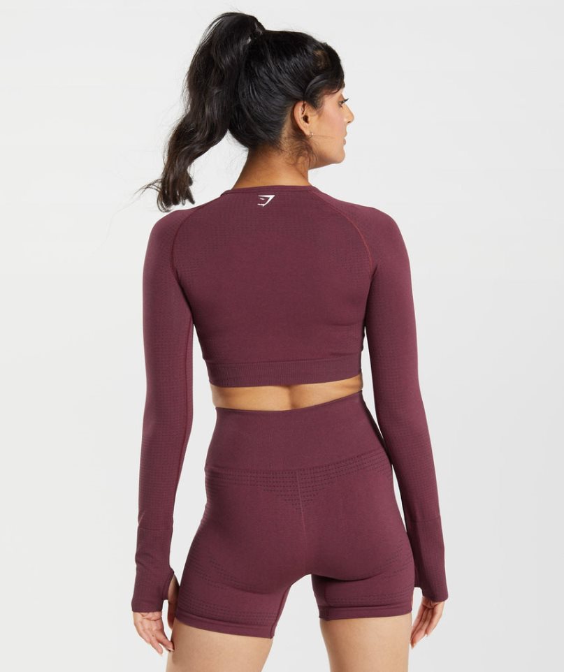 Gymshark Vital Seamless 2.0 Kurz Geschnittene Oberteile Damen Bordeaux | 78265QVPY