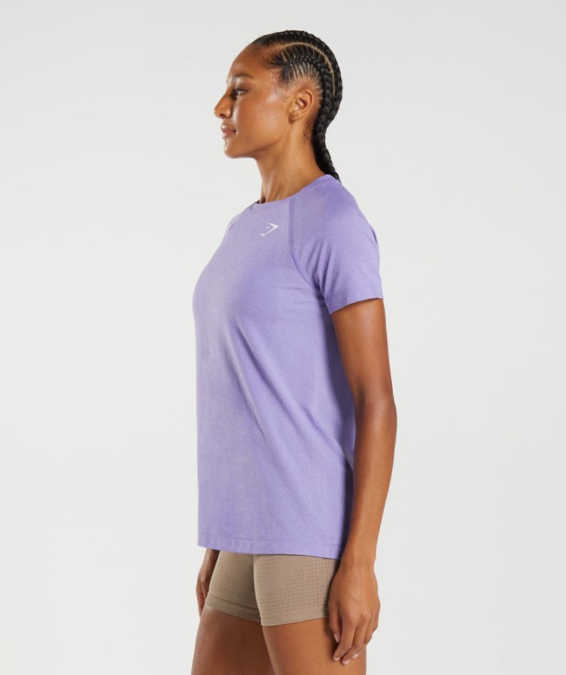 Gymshark Vital Seamless 2.0 Light T-shirts Damen Lila | 49825WPTN