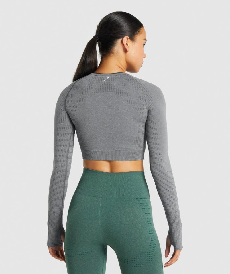 Gymshark Vital Seamless 2.0 Long Sleeve Kurz Geschnittene Oberteile Damen Grau | 43891RFZH