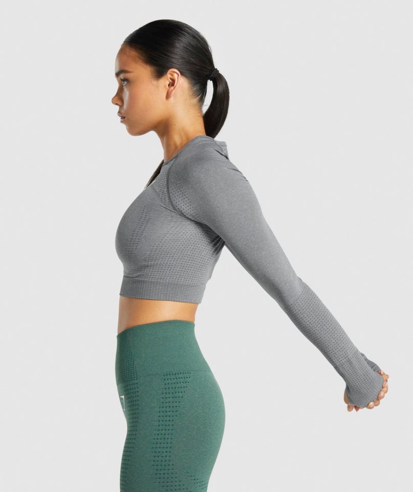 Gymshark Vital Seamless 2.0 Long Sleeve Kurz Geschnittene Oberteile Damen Grau | 43891RFZH