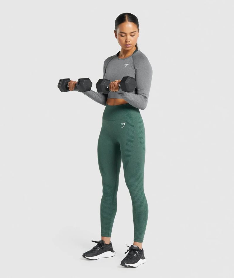 Gymshark Vital Seamless 2.0 Long Sleeve Kurz Geschnittene Oberteile Damen Grau | 43891RFZH