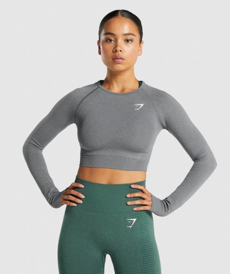 Gymshark Vital Seamless 2.0 Long Sleeve Kurz Geschnittene Oberteile Damen Grau | 43891RFZH