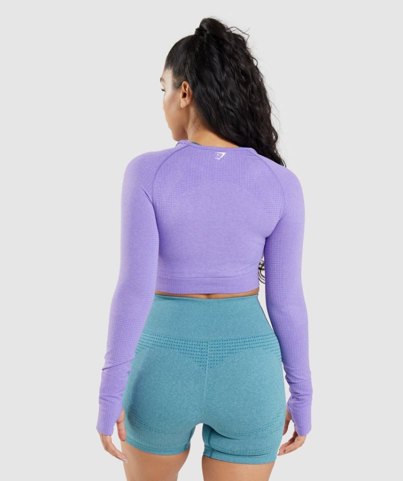 Gymshark Vital Seamless 2.0 Long Sleeve Kurz Geschnittene Oberteile Damen Lavendel | 74158UXIG