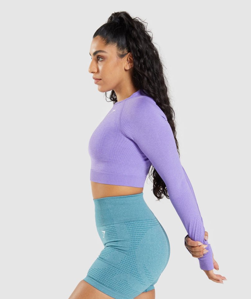 Gymshark Vital Seamless 2.0 Long Sleeve Kurz Geschnittene Oberteile Damen Lavendel | 74158UXIG