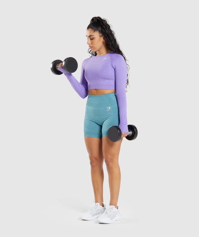 Gymshark Vital Seamless 2.0 Long Sleeve Kurz Geschnittene Oberteile Damen Lavendel | 74158UXIG