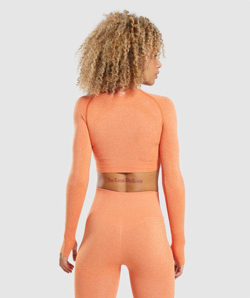 Gymshark Vital Seamless 2.0 Long Sleeve Kurz Geschnittene Oberteile Damen Orange | 92578VTMC