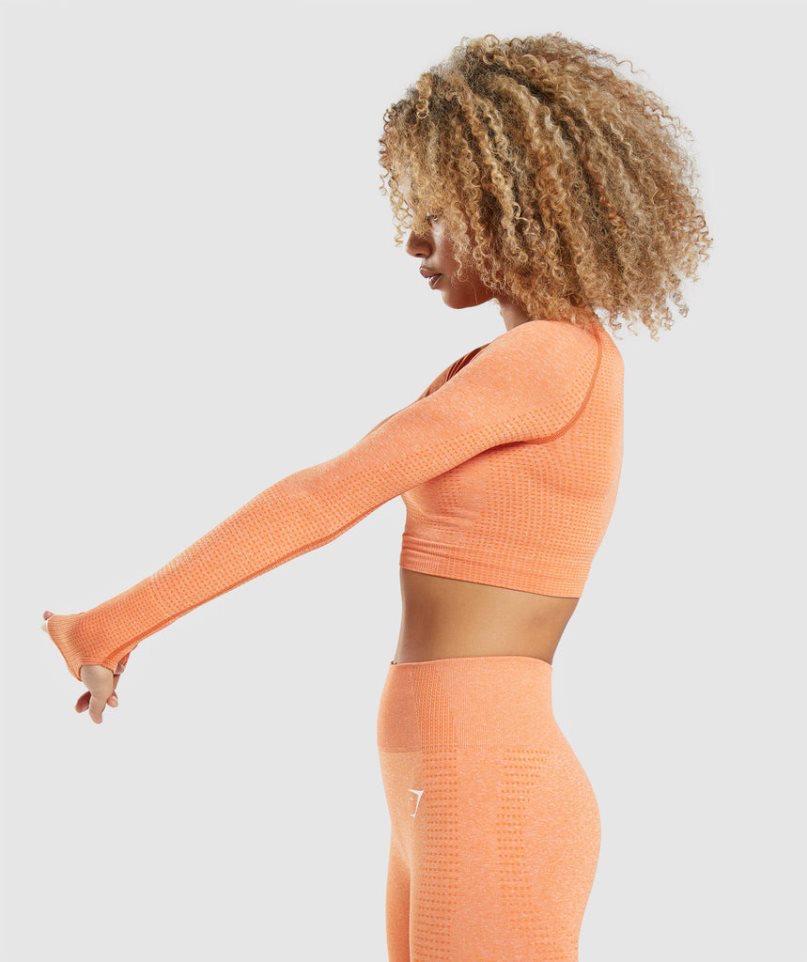 Gymshark Vital Seamless 2.0 Long Sleeve Kurz Geschnittene Oberteile Damen Orange | 92578VTMC