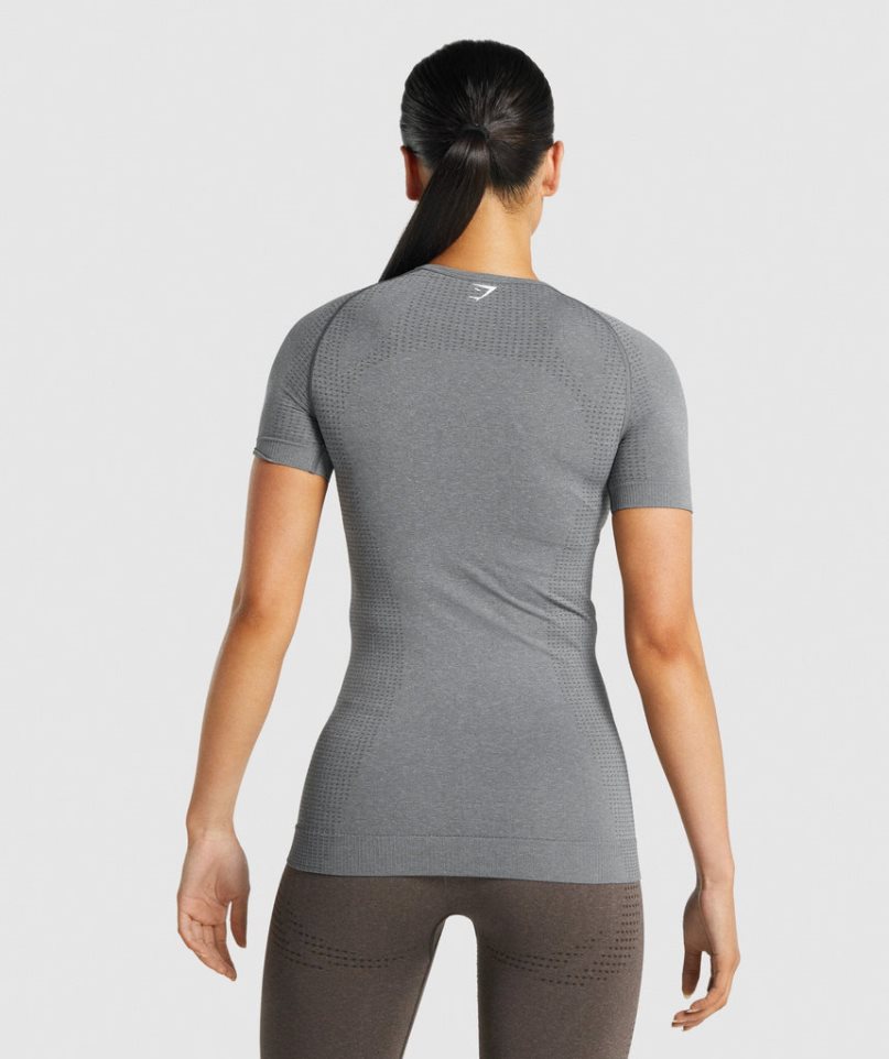 Gymshark Vital Seamless 2.0 T-shirts Damen Grau | 62510BPFU