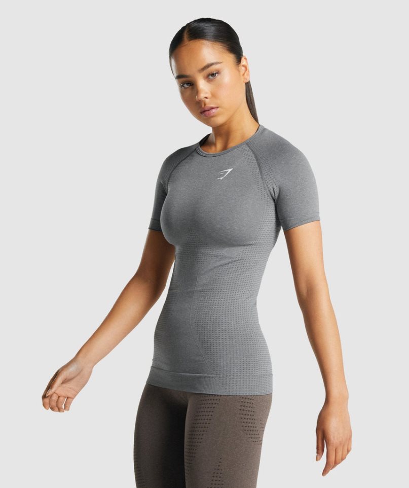 Gymshark Vital Seamless 2.0 T-shirts Damen Grau | 62510BPFU