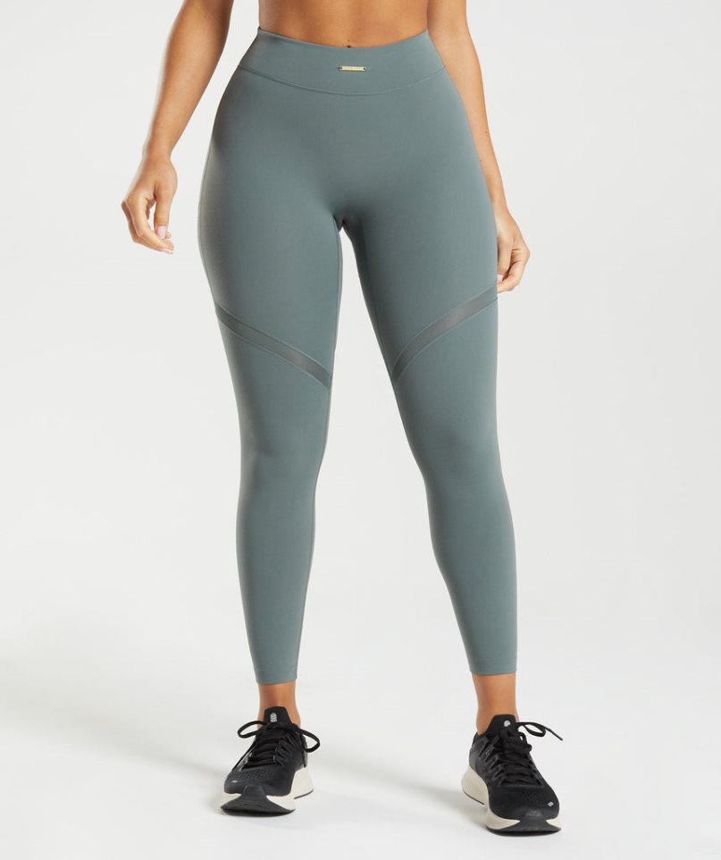 Gymshark Whitney Mesh Leggings Damen Grau | 95082FPZU