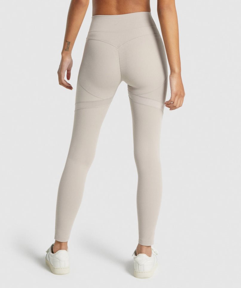 Gymshark Whitney Mesh Leggings Damen Hellgrau | 26398OAUR