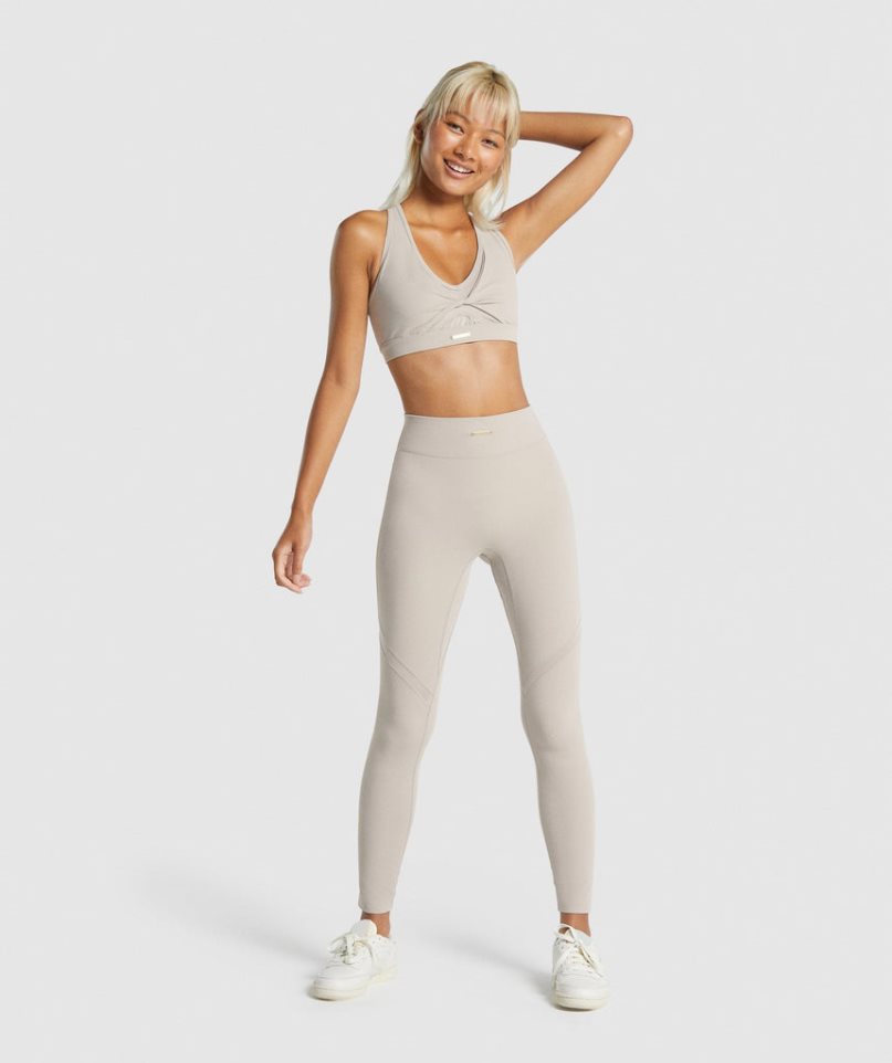 Gymshark Whitney Mesh Leggings Damen Hellgrau | 26398OAUR